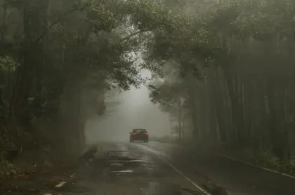 Misty Forest Drive — 200-piece jigsaw puzzle