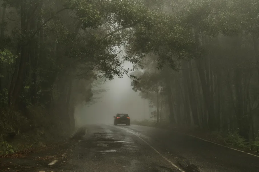 Misty Forest Drive — 200-piece jigsaw puzzle