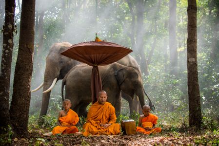 Peaceful Forest Meditation — 400-piece jigsaw puzzle