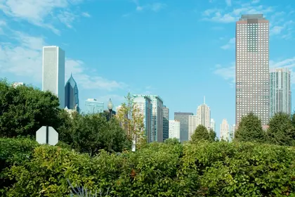 City Skyline Oasis — 500-piece jigsaw puzzle