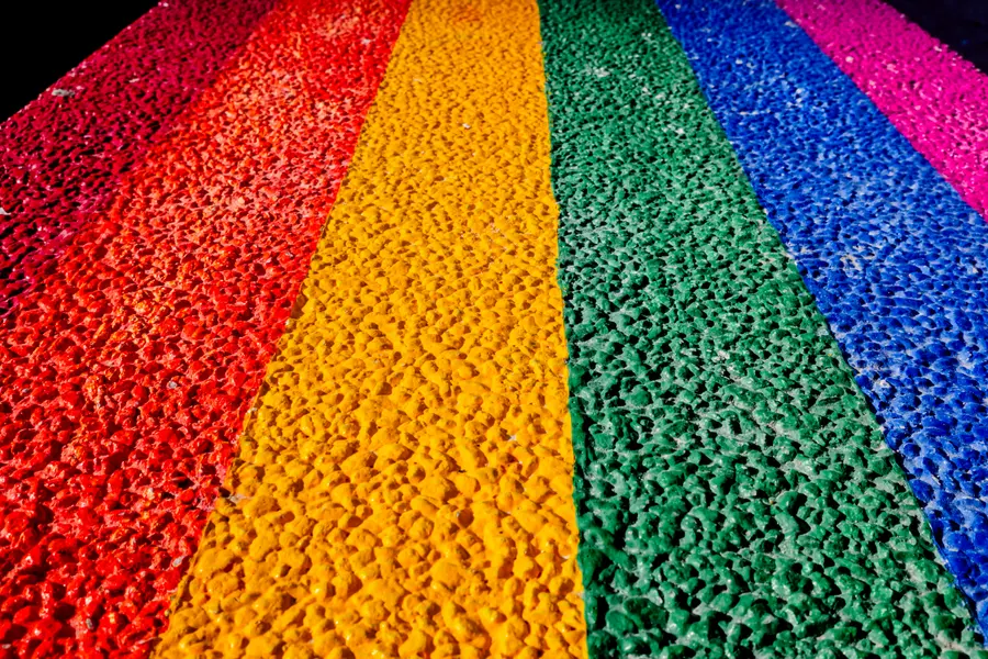 Vibrant Color Pathway — 500-piece jigsaw puzzle