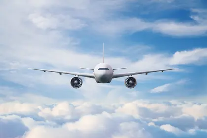 Majestic Flight — 300-piece jigsaw puzzle