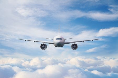 Majestic Flight — 300-piece jigsaw puzzle