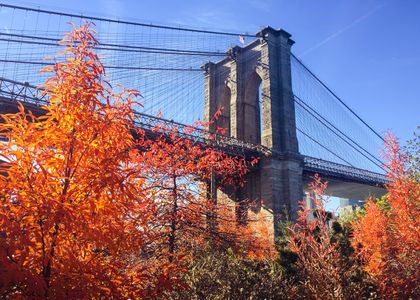 Autumn Bridge View — 300-piece jigsaw puzzle