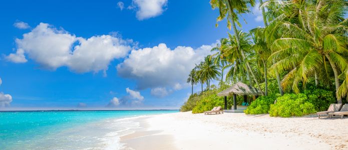 Tropical Beach Paradise — 100-piece jigsaw puzzle