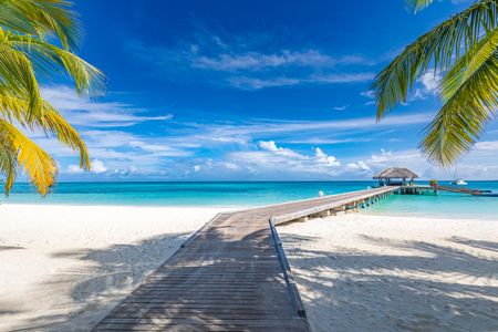 Tropical Paradise Escape — 64-piece jigsaw puzzle