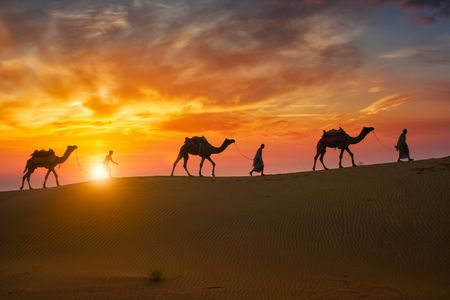 Desert Caravan Sunset — 64-piece jigsaw puzzle