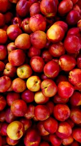 Bountiful Nectarines — 100-piece jigsaw puzzle