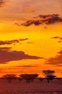 Fiery Desert Sunset — 100-piece jigsaw puzzle