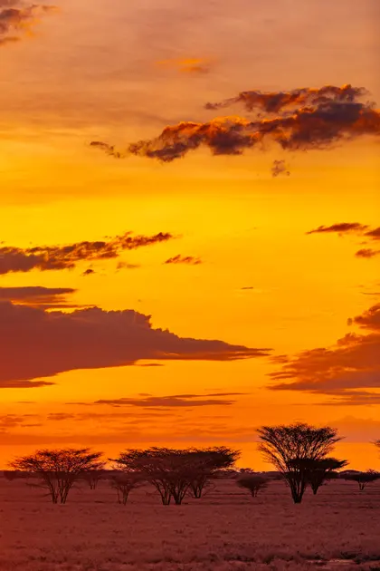 Fiery Desert Sunset — 100-piece jigsaw puzzle