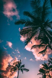 Tropical Sunset Skies — 300-piece jigsaw puzzle