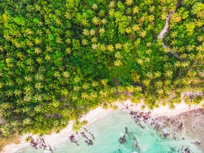 Tropical Beach Canopy — 200-piece jigsaw puzzle