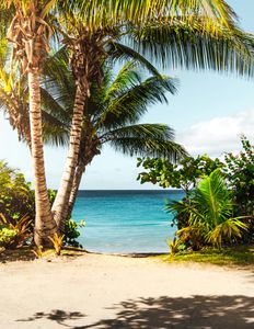 Paradise Beach View — 300-piece jigsaw puzzle