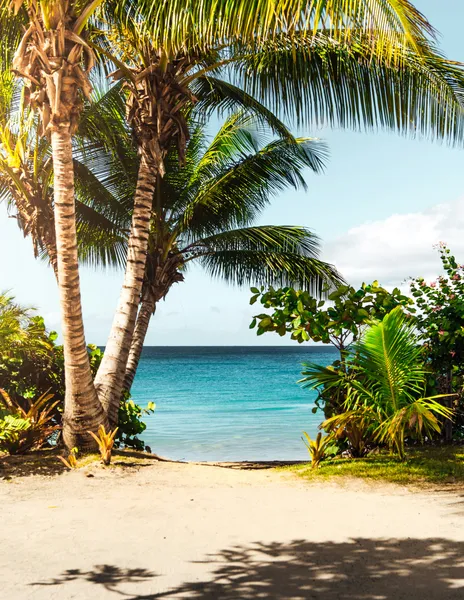 Uitzicht op paradijselijk strand — 300-stukjes legpuzzel
