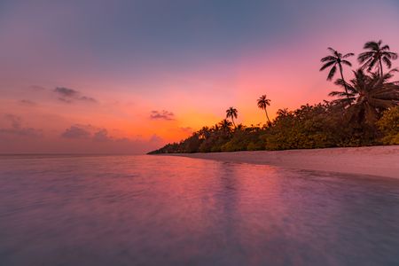 Tropical Sunset Glow — 200-piece jigsaw puzzle
