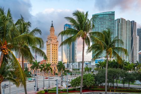 Tropical Cityscape — 300-piece jigsaw puzzle
