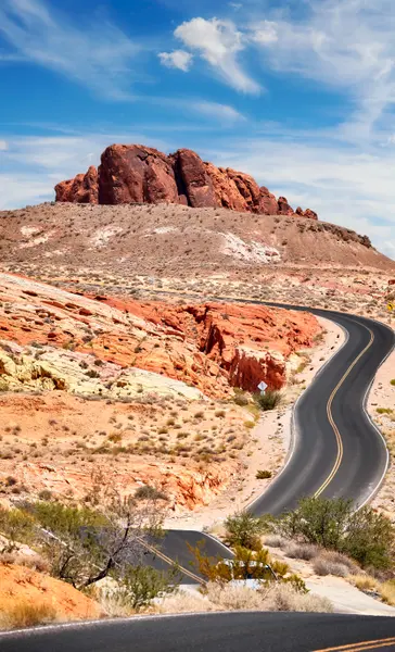 Winding Desert Highway — 100-piece jigsaw puzzle