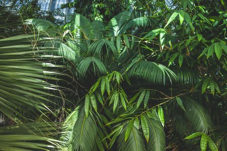Tropical Leaf Oasis — 150-piece jigsaw puzzle