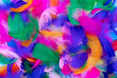 Vibrant Feather Tapestry — 300-piece jigsaw puzzle