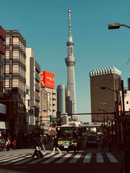 Tokyo Cityscape Charm — 300-piece jigsaw puzzle