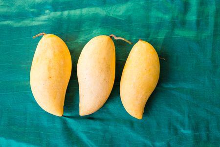 Golden Mango Trio — 300-piece jigsaw puzzle