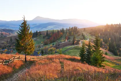 Golden Hillside Panorama — 200-piece jigsaw puzzle