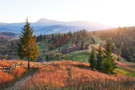 Golden Hillside Panorama — 200-piece jigsaw puzzle