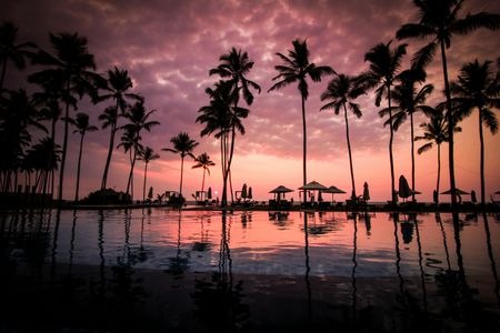 Tropical Sunset Reflection — 64-piece jigsaw puzzle
