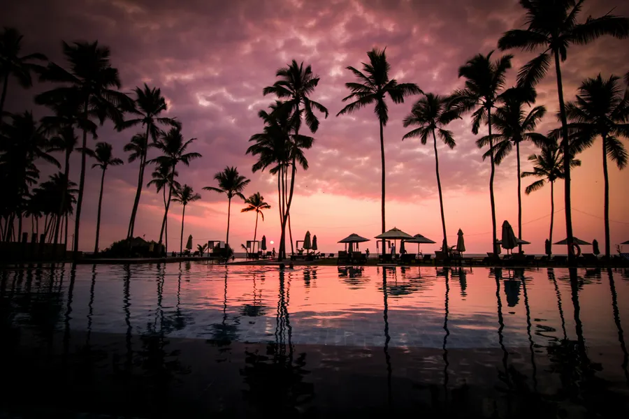Tropical Sunset Reflection — 64-piece jigsaw puzzle