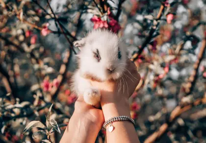 Springtime Bunny Bliss — 300-piece jigsaw puzzle