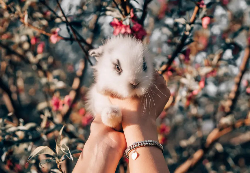 Springtime Bunny Bliss — 300-piece jigsaw puzzle