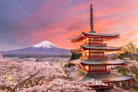 Cherry Blossoms and Pagoda — 150-piece jigsaw puzzle
