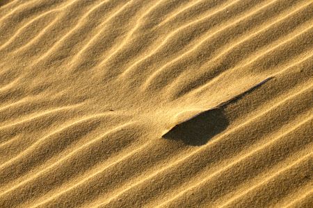 Desert Sand Waves — 300-piece jigsaw puzzle