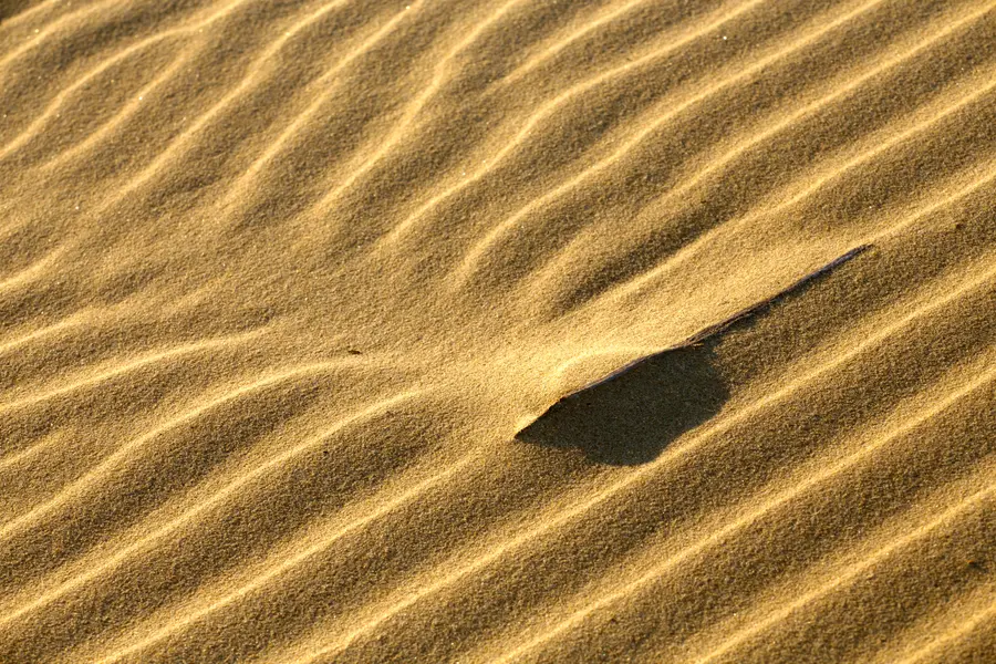 Desert Sand Waves — 300-piece jigsaw puzzle