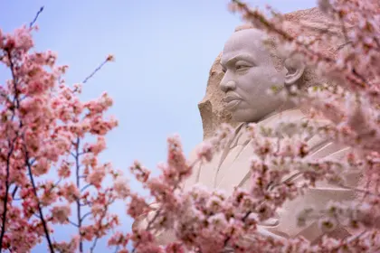 Statue Among Blossoms — 150-piece jigsaw puzzle