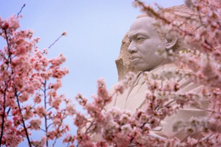 Statue Among Blossoms — 150-piece jigsaw puzzle