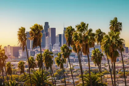 Palm Trees and Skyline — 64-piece jigsaw puzzle