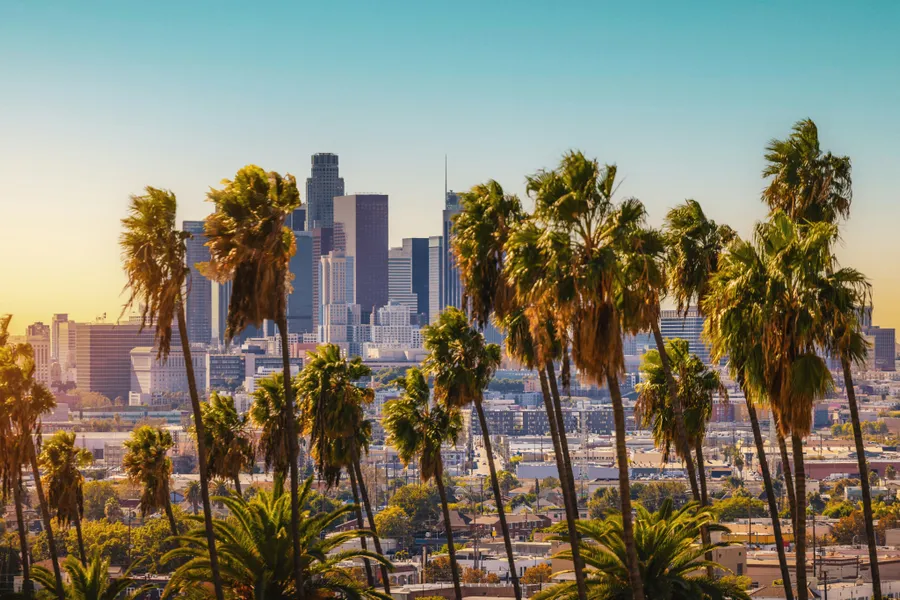 Palm Trees and Skyline — 64-piece jigsaw puzzle