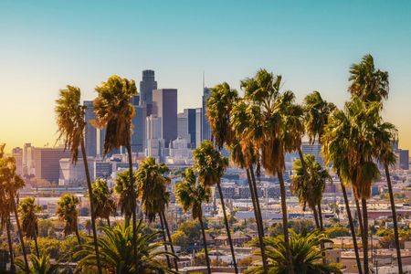 Palms Over Cityscape — 500-piece jigsaw puzzle