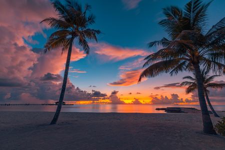 Tropical Sunset Serenity — 64-piece jigsaw puzzle