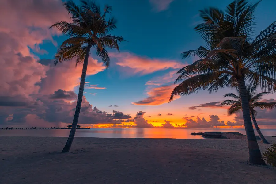 Tropische Sonnenuntergangsruhe — 64-Teile-Puzzle