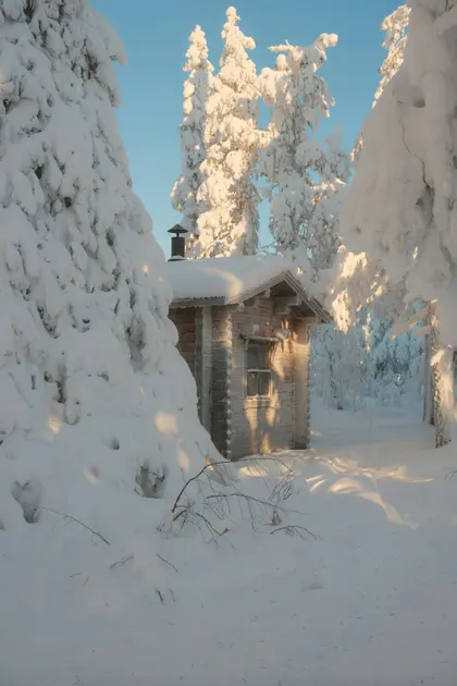 Snowy Woodland Cabin — 100-piece jigsaw puzzle