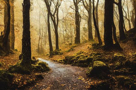 Golden Forest Pathway — 300-piece jigsaw puzzle