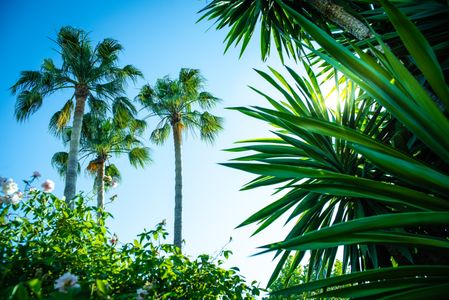 Tropical Oasis View — 400-piece jigsaw puzzle