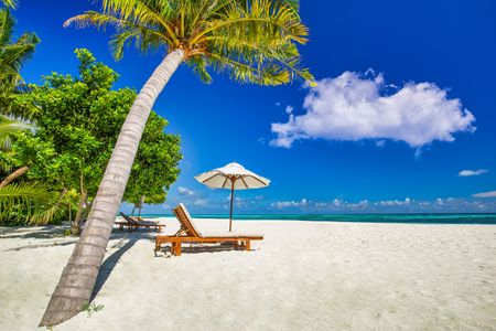 Tropical Beach Paradise — 150-piece jigsaw puzzle