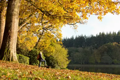 Autumn Lakeside Stroll — 300-piece jigsaw puzzle
