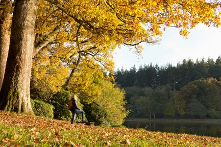 Autumn Lakeside Stroll — 300-piece jigsaw puzzle