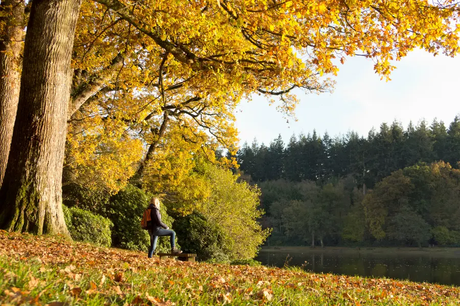 Autumn Lakeside Stroll — 300-piece jigsaw puzzle