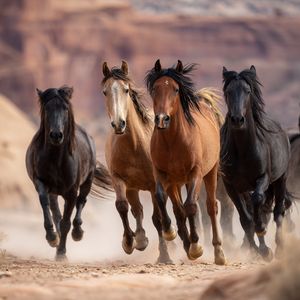 Wild Horses Gallop — 150-piece jigsaw puzzle