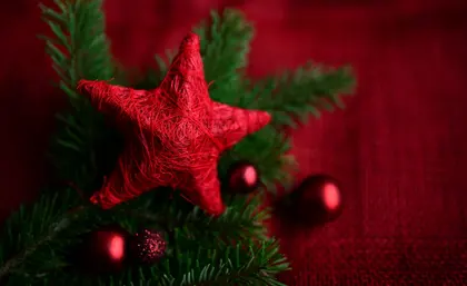 Festive Red Star — 100-piece jigsaw puzzle